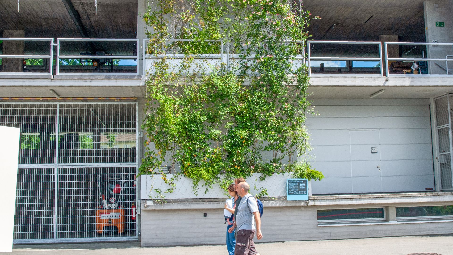 Vertikalbegrünnungen